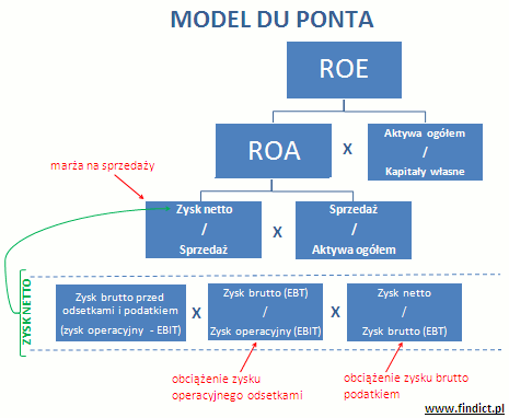 analiza Du Ponta
